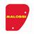 AIRFILTER MALOSSI PEUGEOT VERTICAL ELEMENT